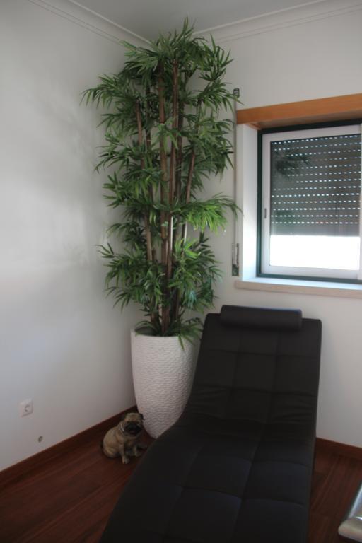 Olive View Villa Vila Nova da Barquinha Exterior photo